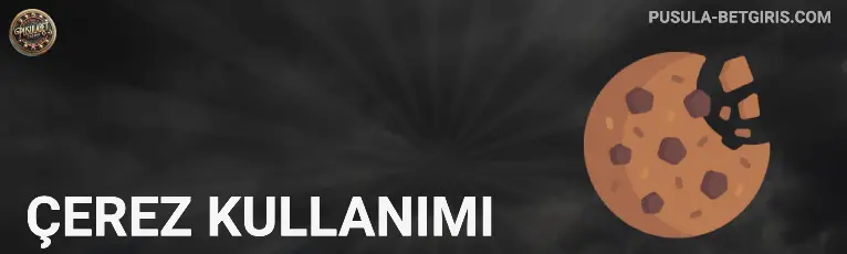 Çerez Kullanımı pusulabet