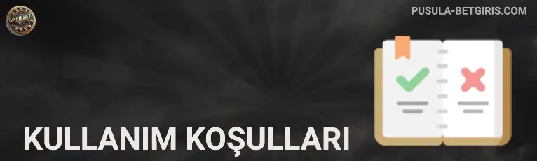 Kullanım Koşulları pusulabet